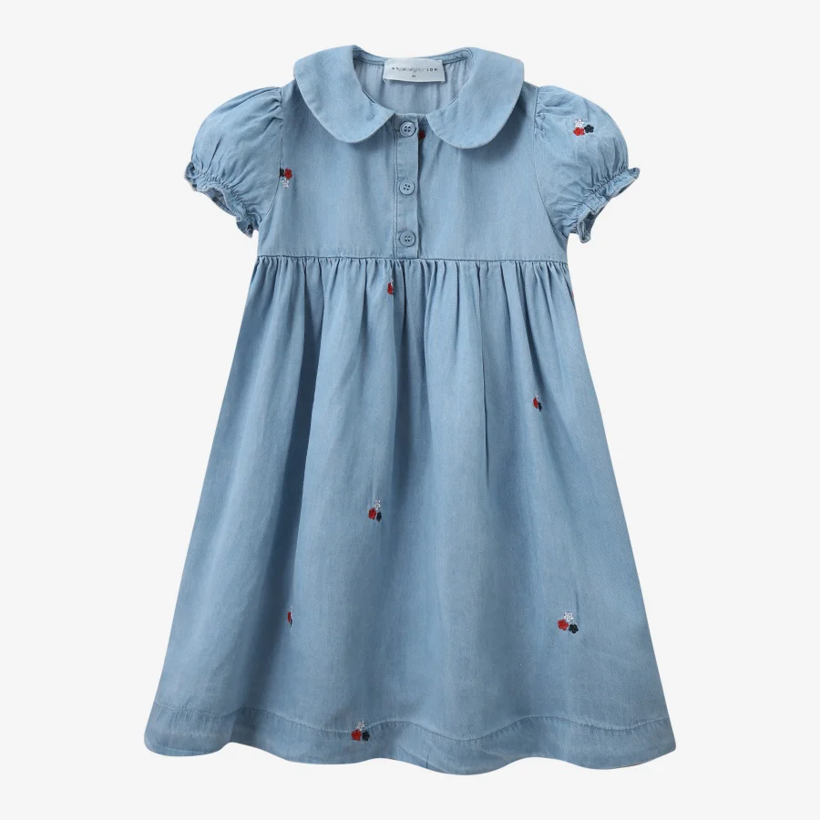 Embroidered Denim Short Sleeve Dress